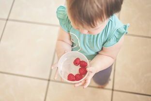 【宝宝吃辅食过敏起红疹怎么排查】
